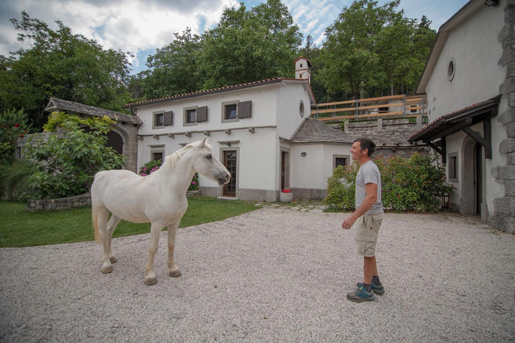 Tmbin'S Barn - Nature, Horses, Family Sežana Exterior foto